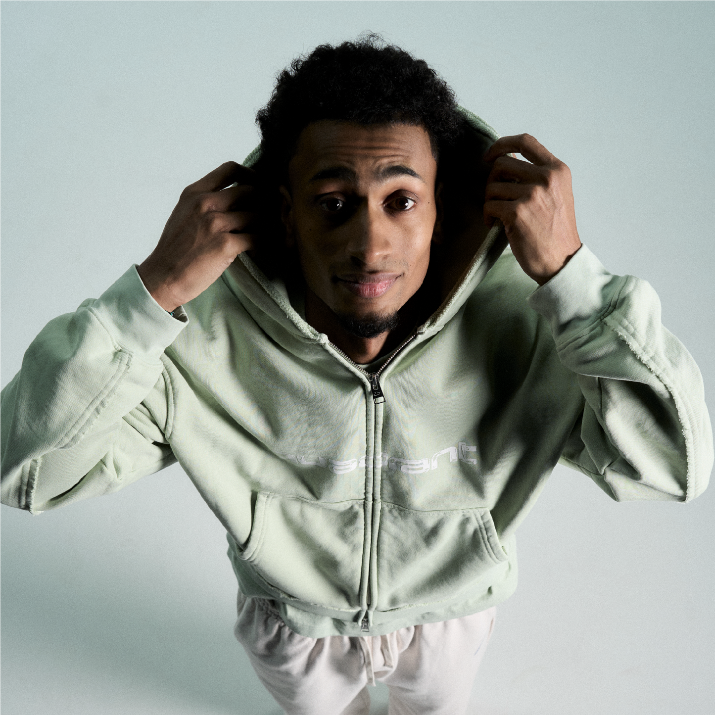 Core Zip Hoodie - Sage